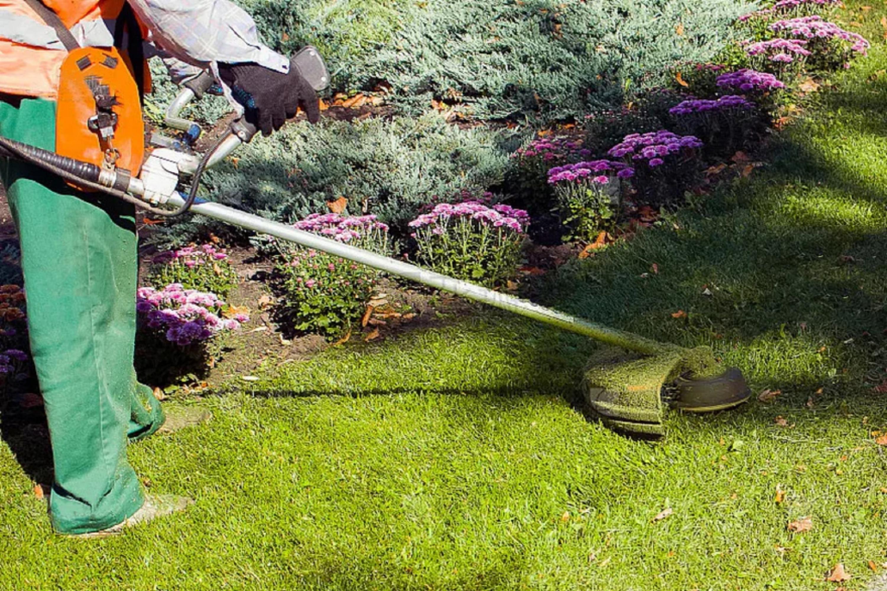 How do you create a dream lawn? Lawn Laying and Maintenance Tips