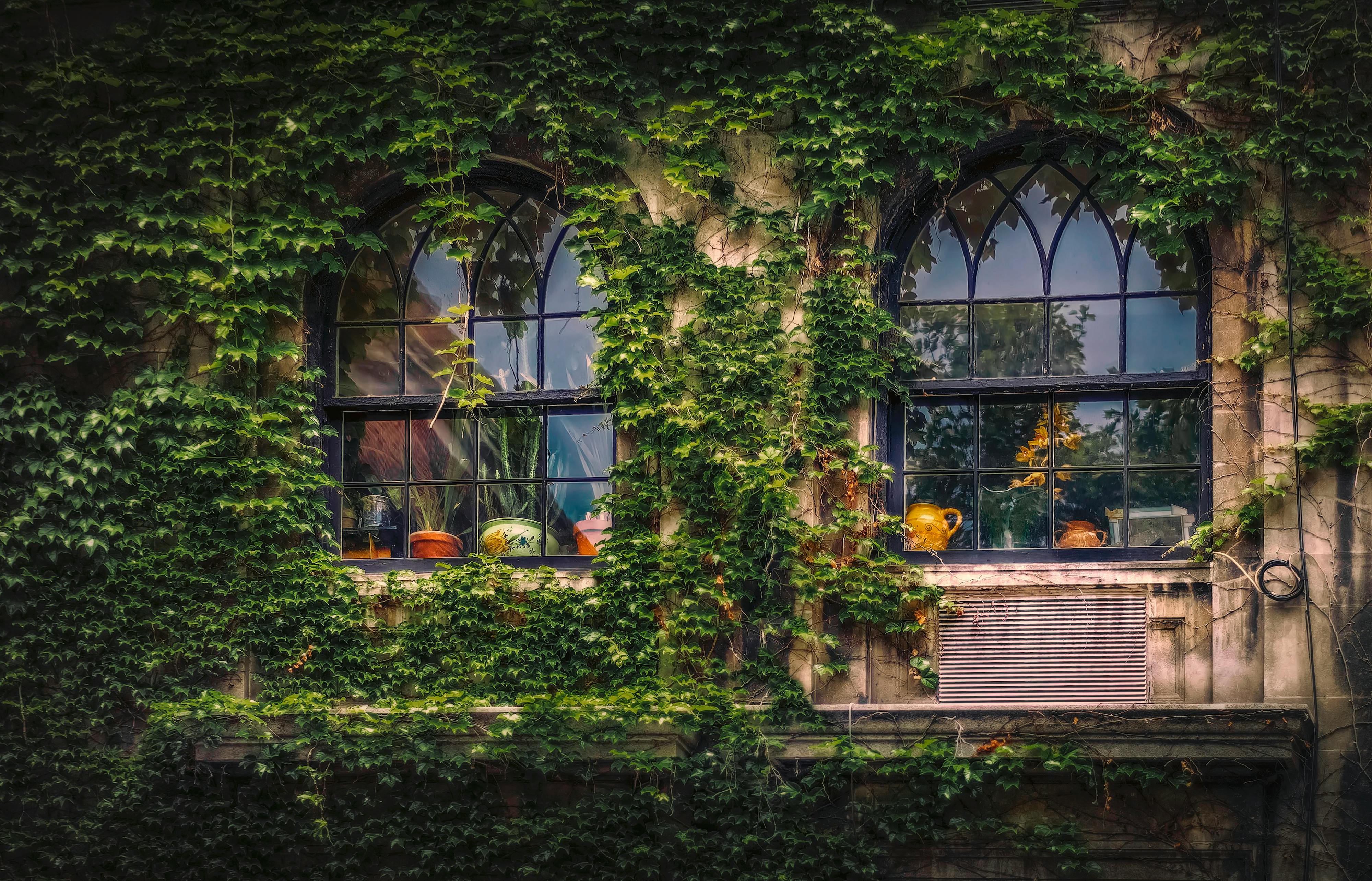 Summer Garden Shade Tips: Keep Your Yard Cool in the Scorching Heat ☀️🌿